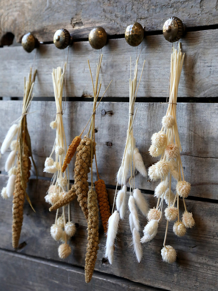 Fleur Dried Seterea Flowers-Faux Flowers-LNH Edit