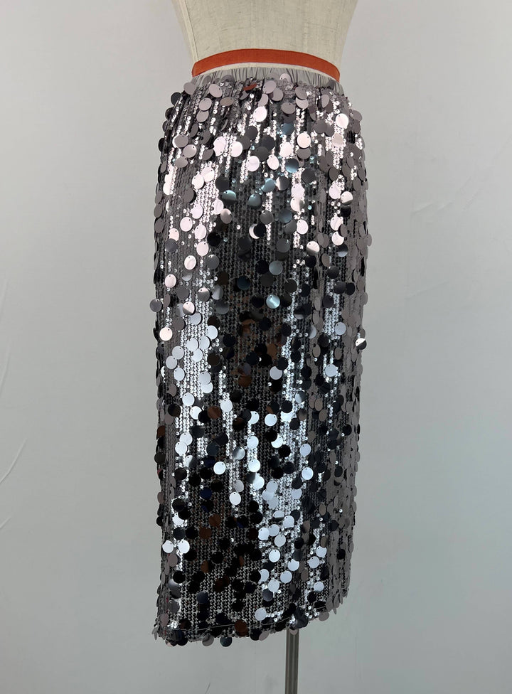 Steel Grey Sequined skirt