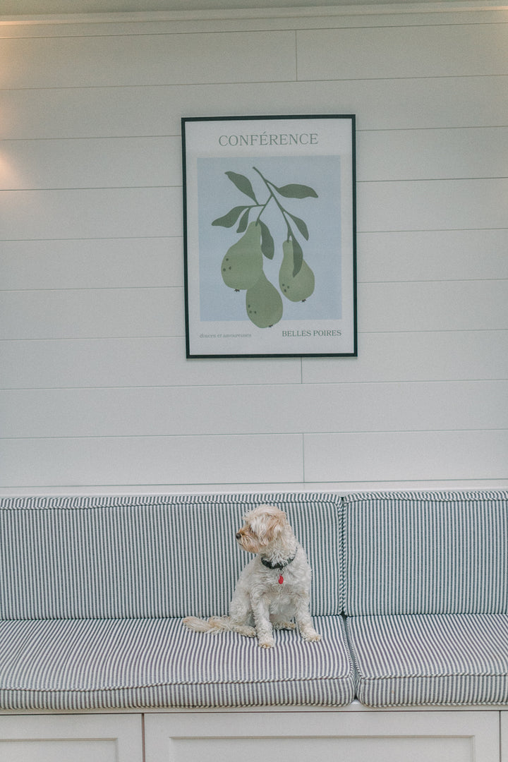 Framed Pear Picture-Prints-LNH Edit