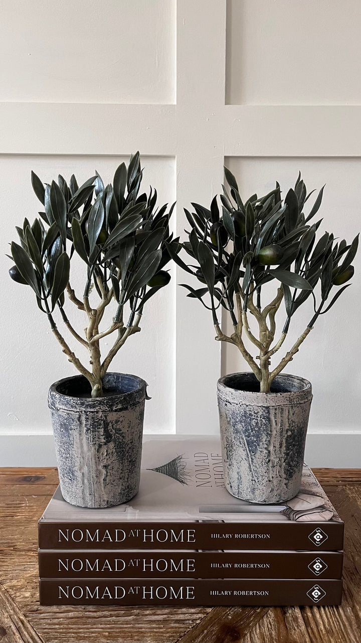 Nomad At Home-Coffee Books-LNH Edit