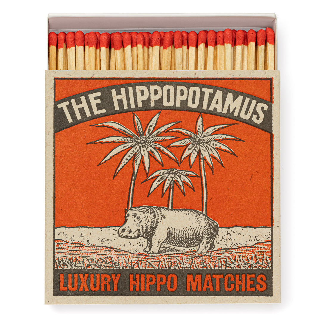 Hippo Matchbox