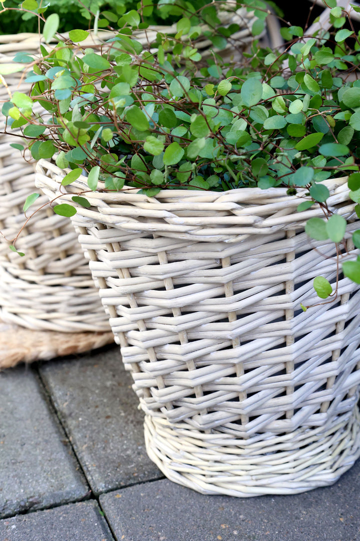 French Basket w. plastic liner set of 3