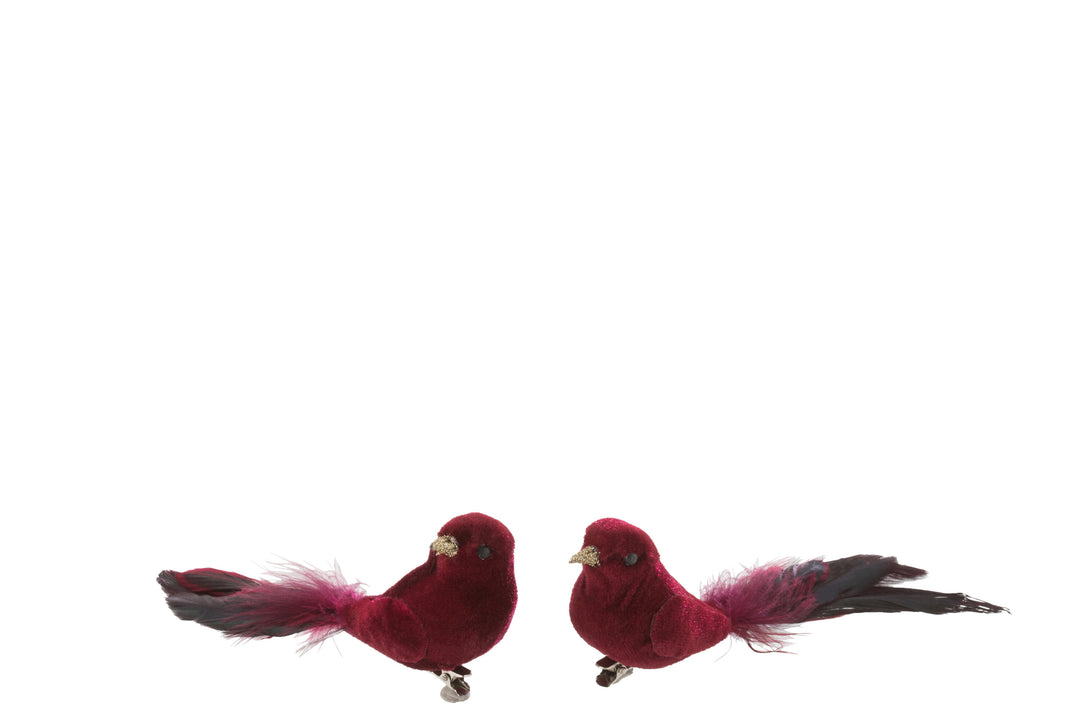 Velvet Burgundy Clip Bird, Assortment Of 2-Ornaments-LNH Edit