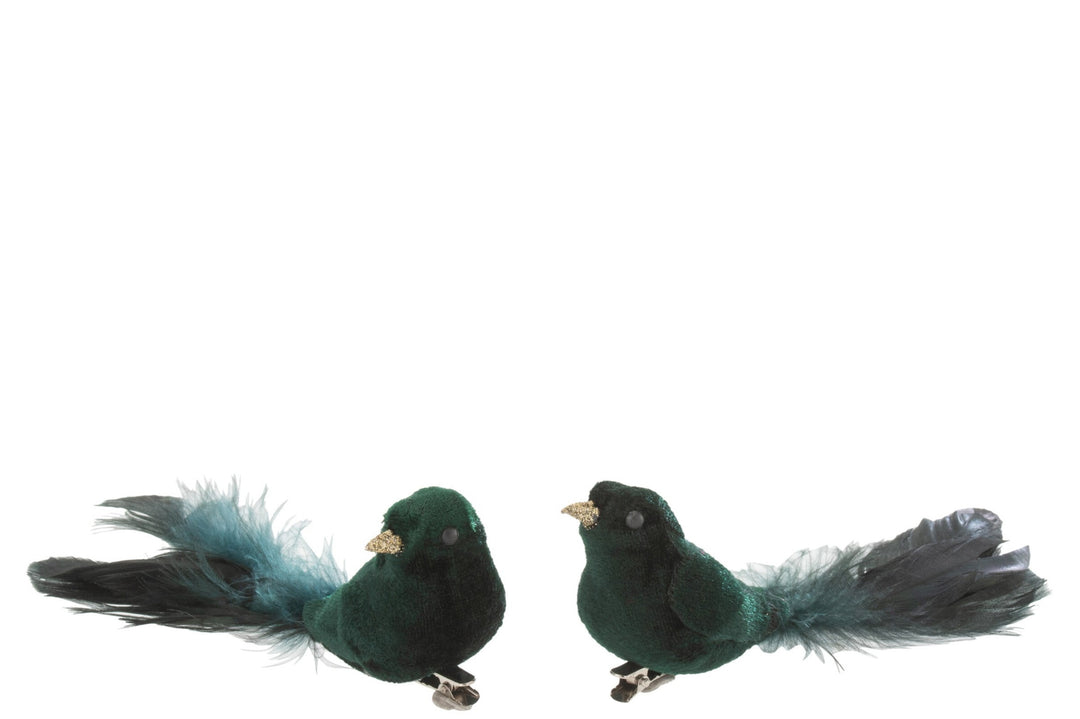 Velvet Green Clip Bird, Assortment Of 2-Ornaments-LNH Edit