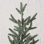 Large winter Tree