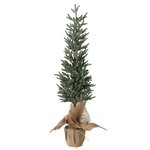 Large winter Tree