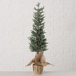 Large winter Tree