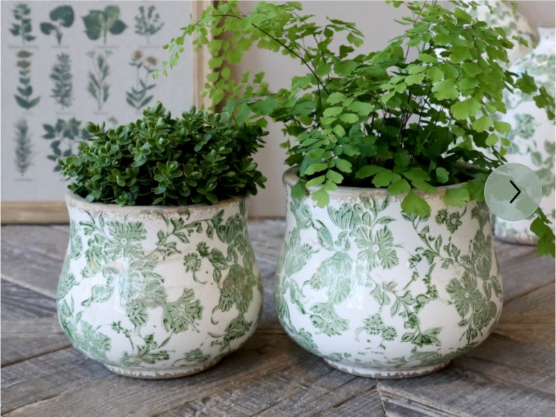 French Melun Green Planter