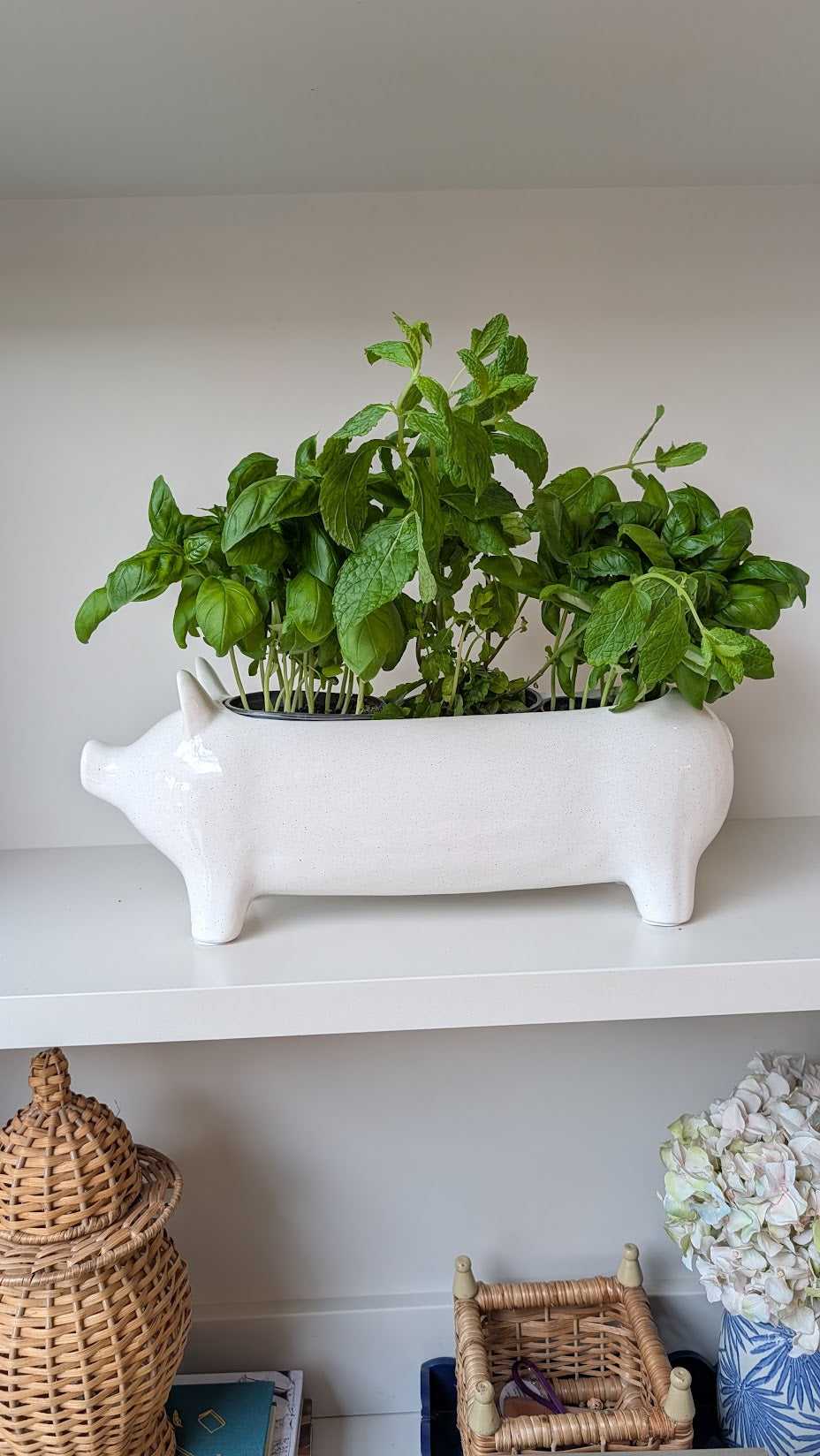 Large White Ceramic Pig Plant Holder