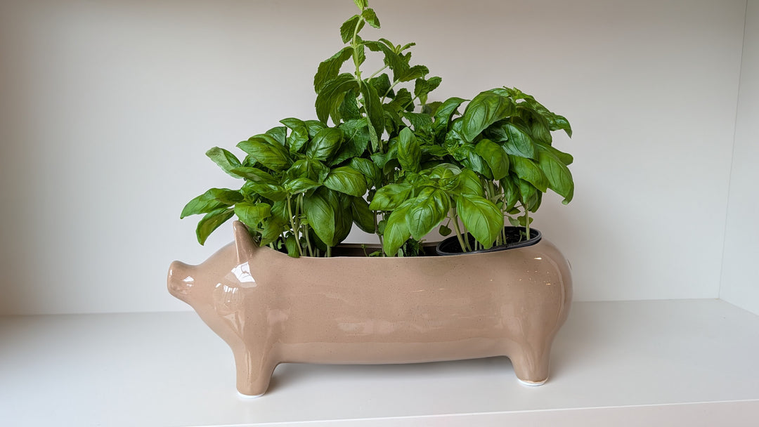 Large Taupe Ceramic Pig Plant Holder