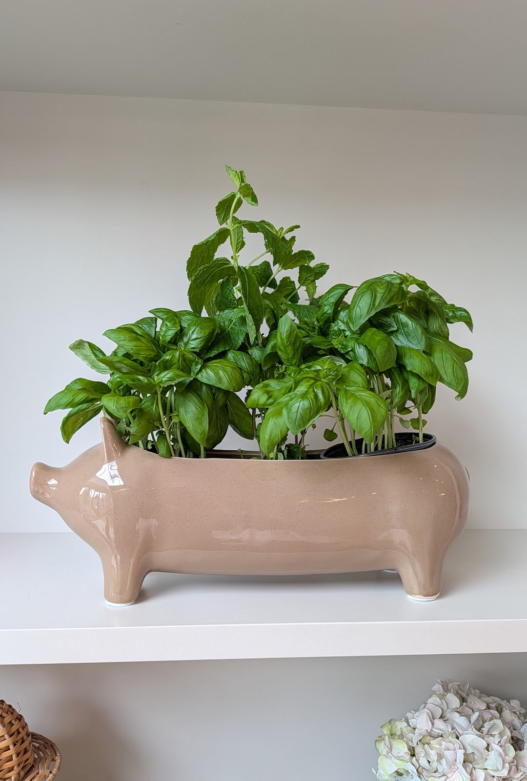 Large Taupe Ceramic Pig Plant Holder