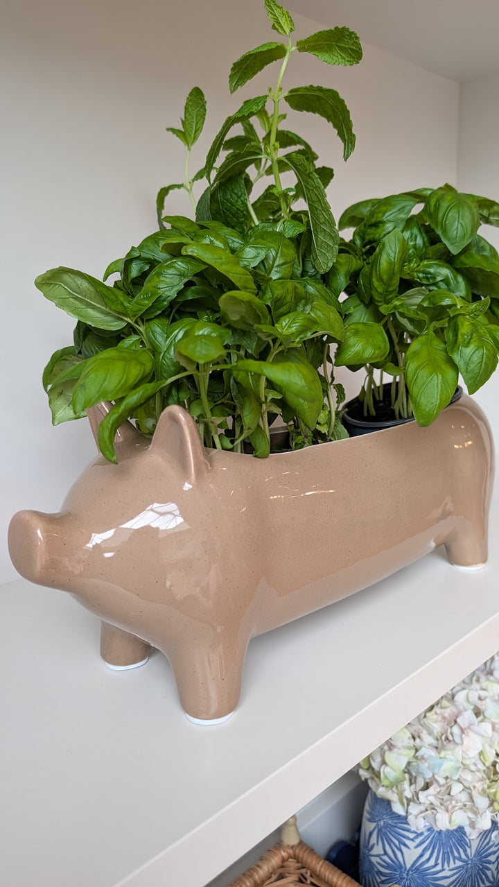 Large Taupe Ceramic Pig Plant Holder