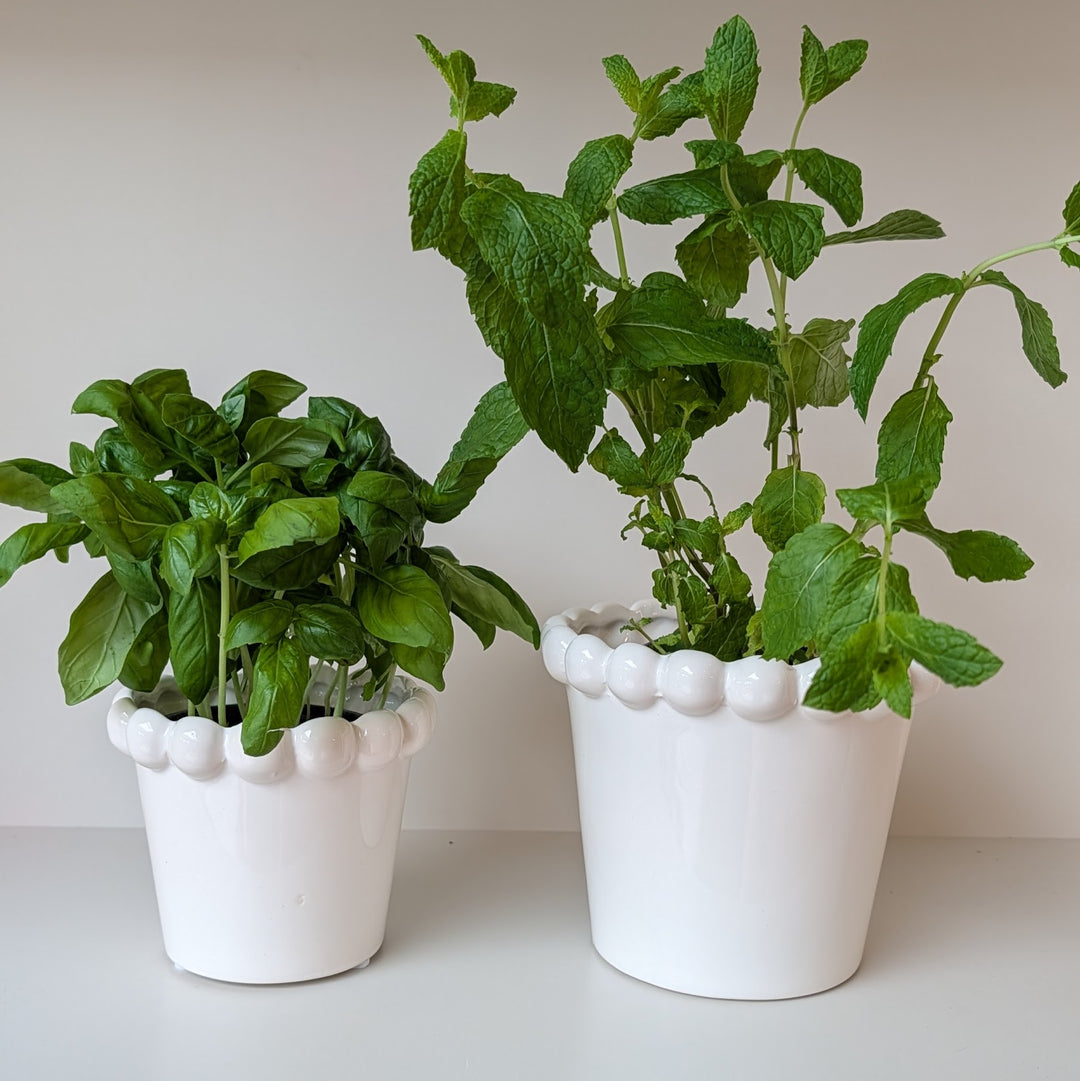 Mary White Ceramic Pot, Set of 2