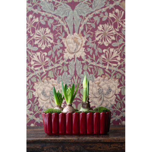 EDNA Red Oval Planter