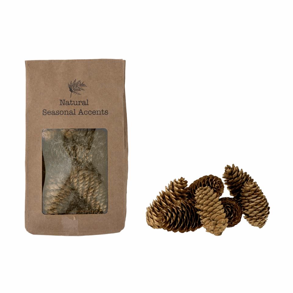 Brown and gold decrotive pinecones