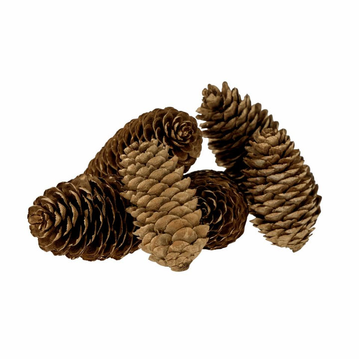 Brown and gold decrotive pinecones