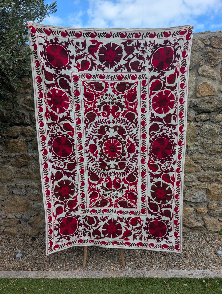 Suzani 022, Cranberries