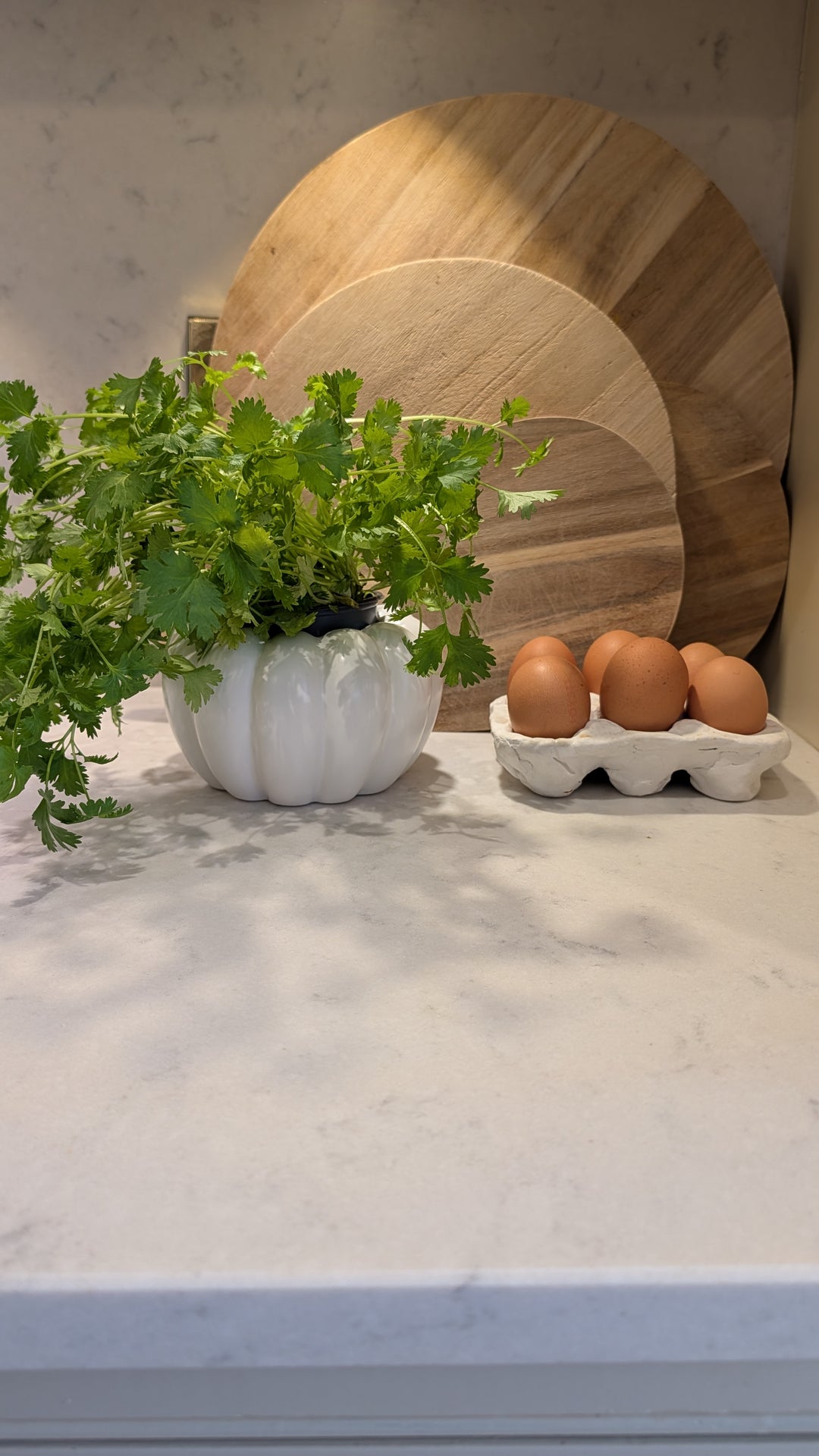 White  Ceramic Pumpkin Vase