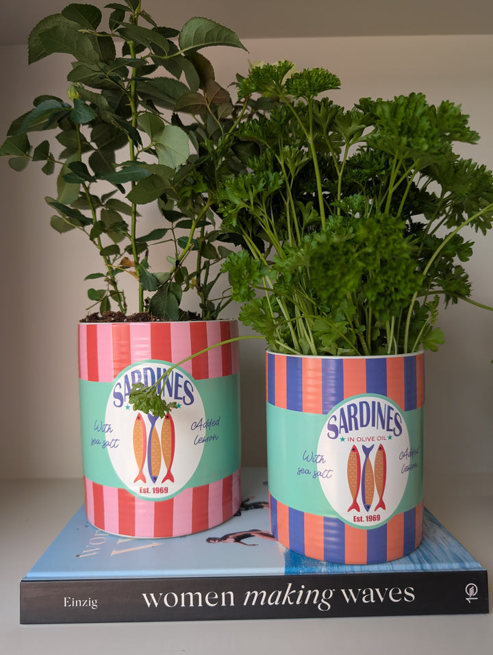 Larger Sardines Fine Earthenware Planter