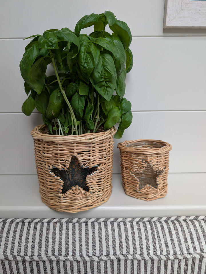 Rattan Star Lantern Star 9cm-Candle Holders-LNH Edit