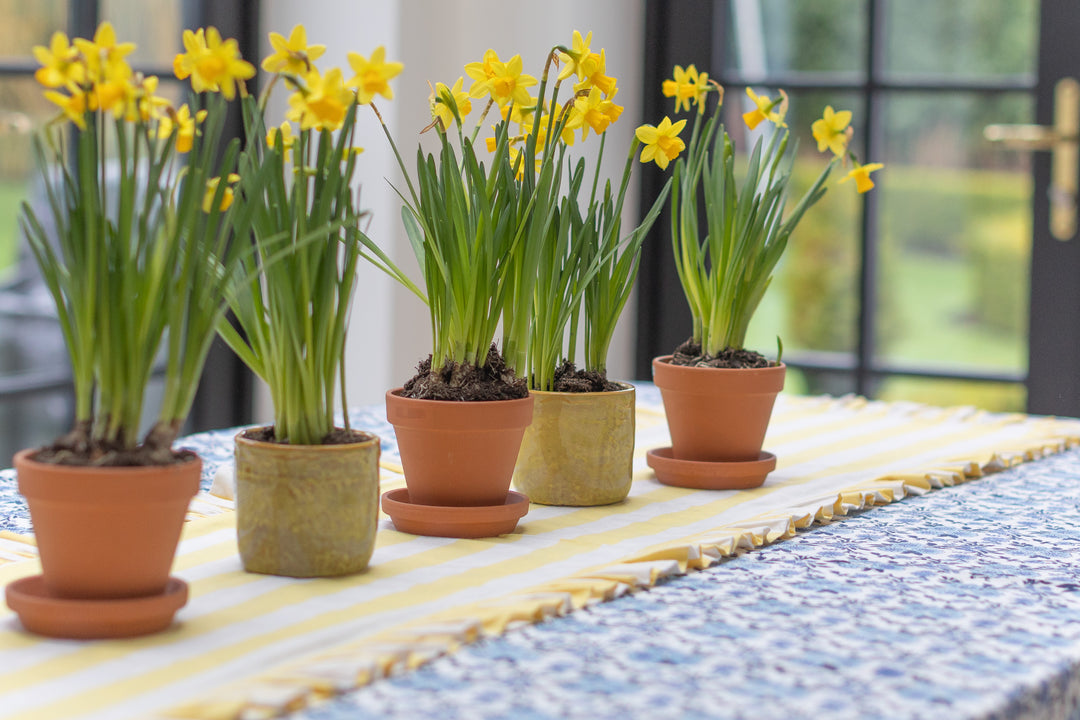 Thistle Rectangle Tablecloth