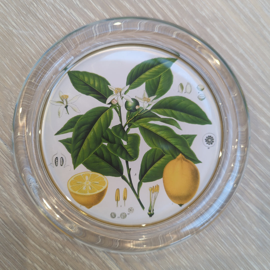 Vintage Lemons Coaster-Coasters-LNH Edit