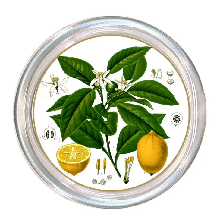 Vintage Lemons Coaster-Coasters-LNH Edit