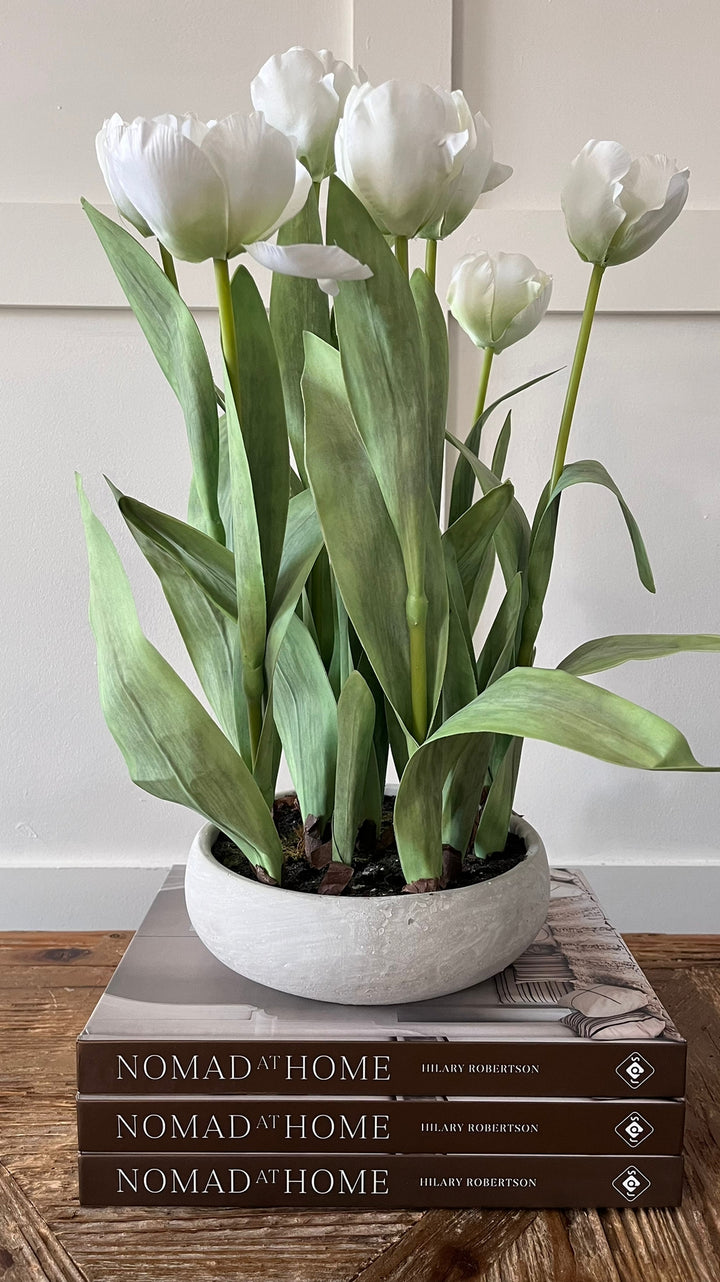 Tulips In Pot Cement Grey, White/Green-Planters-LNH Edit